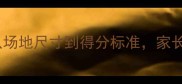 小学垒球比赛规则全攻略从场地尺寸到得分标准家长必看的裁判细节与训练指南