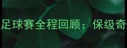 赛季河南建业足球赛全程回顾保级奇迹与经典战役