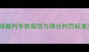 羽毛球裁判手势规范与得分判罚标准深度