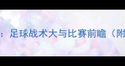 土耳其VS纽西兰足球战术大与比赛前瞻附历史交锋数据