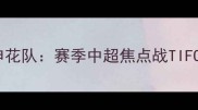 江苏队vs申花队赛季中超焦点战TIFO对决分析