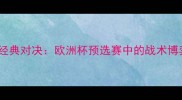 2006年德国vs瑞典经典对决欧洲杯预选赛中的战术博弈与历史性瞬间全