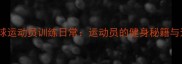 专业羽毛球运动员训练日常运动员的健身秘籍与运动美学