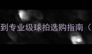 乒乓球价格全从入门级到专业级球拍选购指南附品牌对比与省钱攻略