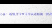 世界杯观赛必备看懂足球术语的英语指南附高频词汇表