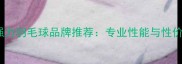 十大强力羽毛球品牌推荐专业性能与性价比全