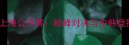韩国男队羽毛球上海公开赛巅峰对决与中韩竞技文化交流纪实