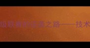 FMelo球员从青训新星到顶级联赛的逆袭之路技术特点数据统计与未来展望