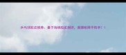乒乓球胶皮推荐量子海绵胶皮测评高弹耐用不伤手