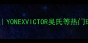 羽毛球标准用球选购全攻略YONEXVICTOR吴氏等热门球款测评新手必看避坑指南
