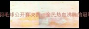 益阳国际羽毛球公开赛决赛全民热血沸腾的冠军争夺战