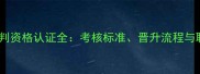 省级乒乓球裁判资格认证全考核标准晋升流程与职业发展路径