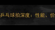 蝴蝶天翼系列乒乓球拍深度性能价格与选购指南