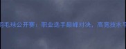 中国羽毛球公开赛职业选手巅峰对决高竞技水平赛事