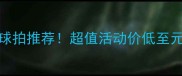 爆款乒乓球拍推荐超值活动价低至元手慢无