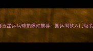 红双喜五星乒乓球拍爆款推荐国乒同款入门级装备
