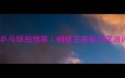 高性价比二手乒乓球拍推荐蝴蝶王底板深度测评与选购指南