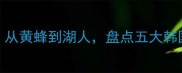 NBA韩国球员现状从黄蜂到湖人盘点五大韩国球星的表现与未来