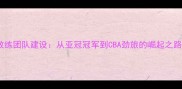 新疆男篮青训体系与教练团队建设从亚冠冠军到CBA劲旅的崛起之路含最新赛季数据