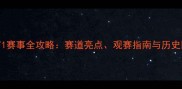 上海F1赛事全攻略赛道亮点观赛指南与历史回顾