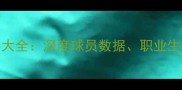 WNBA球员资料大全深度球员数据职业生涯与赛场亮点