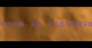 乒乓球胶皮选购全攻略安度红双喜等品牌深度与使用指南