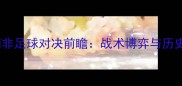 西班牙vs南非足球对决前瞻战术博弈与历史恩怨深度