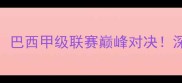 主巴拉纳竞技vs圣保罗巴西甲级联赛巅峰对决深度两队战术与历史恩怨