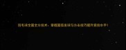 羽毛球全圆全方技术掌握圆弧发球与方击技巧提升竞技水平