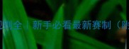 羽毛球计分规则全新手必看最新赛制附实战技巧