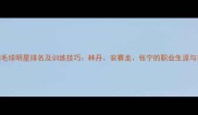 全球羽毛球明星排名及训练技巧林丹安赛龙张宁的职业生涯与技战术