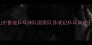 山东鲁能乒乓球队国家队养成记乒乓训练干货
