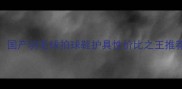 国羽装备指南国产羽毛球拍球鞋护具性价比之王推荐附避坑攻略