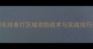 羽毛球单打区域攻防战术与实战技巧全