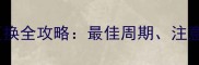 乒乓球胶皮更换全攻略最佳周期注意事项与技巧