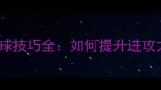 发球内旋羽毛球技巧全如何提升进攻力与稳定性