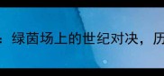 荷兰vs南斯拉夫绿茵场上的世纪对决历史与荣耀的碰撞