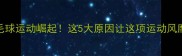 欧洲羽毛球运动崛起这5大原因让这项运动风靡全欧
