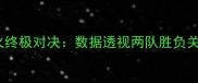 深度湖人vs热火终极对决数据透视两队胜负关键与战术博弈