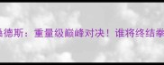 小克里琴科VS桑德斯重量级巅峰对决谁将终结拳坛新王争霸