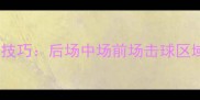 羽毛球入门必看高阶技巧后场中场前场击球区域全附动作分解图