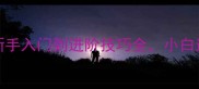 必看lucksix羽毛球新手入门到进阶技巧全小白逆袭成高手的秘密武器