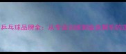 中国40大乒乓球品牌全从专业训练到业余娱乐的选购指南