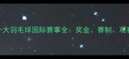 全球十大羽毛球国际赛事全奖金赛制观赛指南