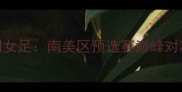 厄瓜多尔女足vs智利女足南美区预选赛巅峰对决历史交锋与战术