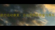 干细胞治疗助力运动康复运动员损伤修复与再生医学新突破