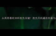 德国vs瑞典从周易看欧洲杯胜负关键胜负天机藏在卦象与战术博弈中
