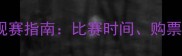 芝加哥公牛观赛指南比赛时间购票攻略与球星