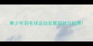 青少年羽毛球运动发展现状与机遇