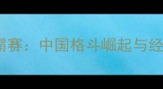 武林风全球争霸赛中国格斗崛起与经典战役全回顾